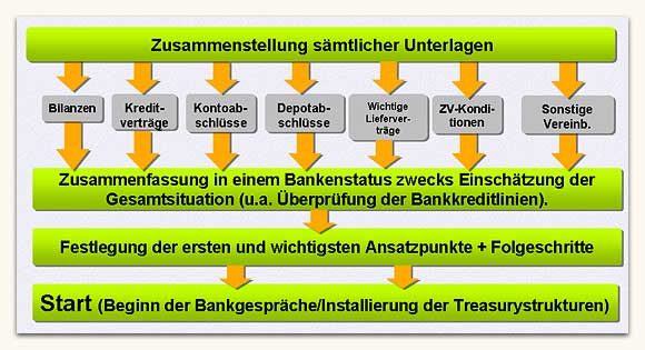 Vorgehensweise Alternative (Aufbau der Treasury Abteilung)